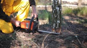 Best Seasonal Cleanup (Spring/Fall)  in Bradley Beach, NJ
