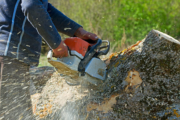 Lawn Watering Services in Bradley Beach, NJ